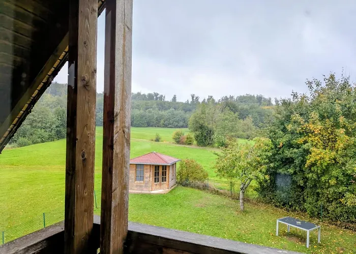 Eulennest Im An Der Holzecke