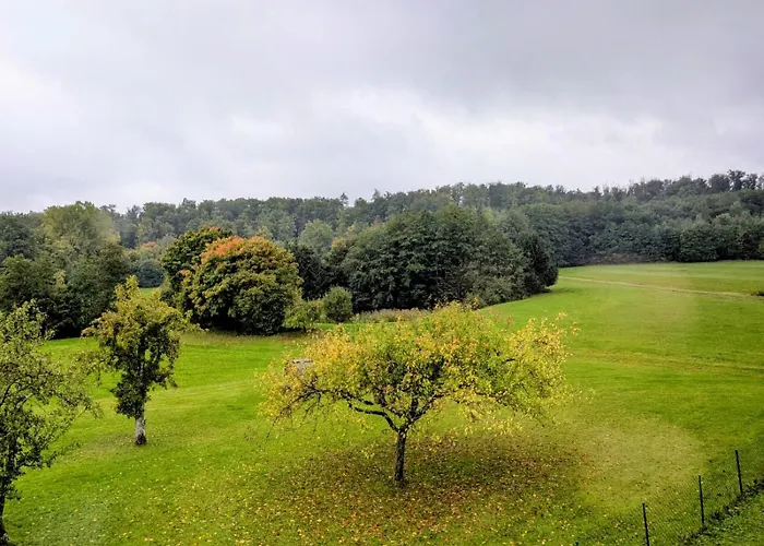Eulennest Im An Der Holzecke בית נופש Schnelldorf