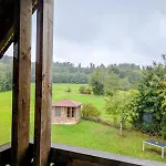 Eulennest Im An Der Holzecke